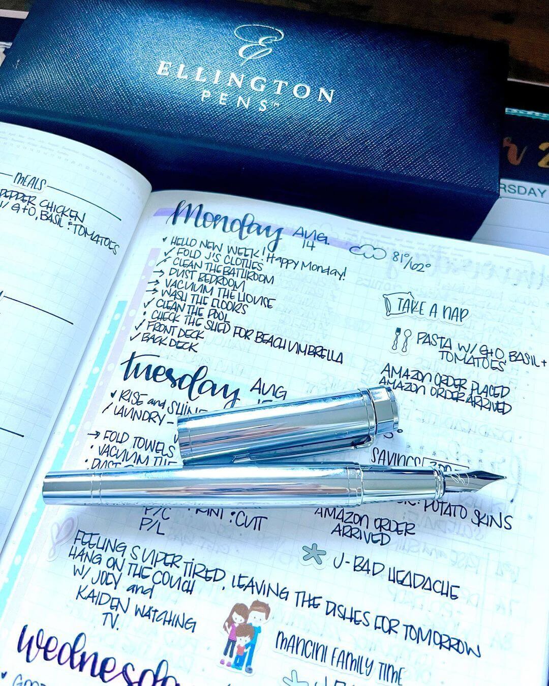 Silver Sonata Fountain Pen fountain pen