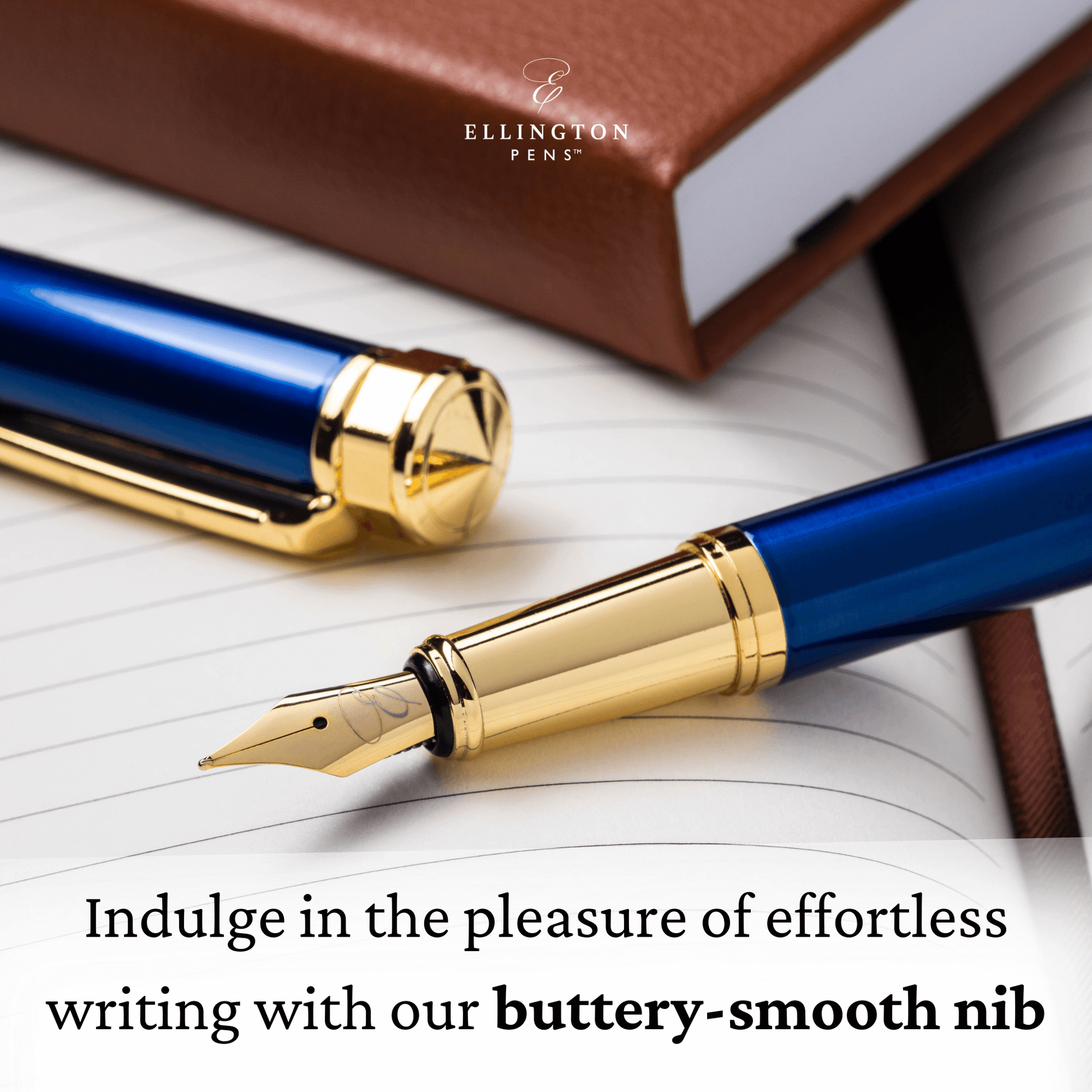 The Nautilus Fountain Pen fountain pen